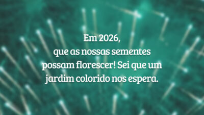 Em 2026, que as nossas sementes possam florescer! Sei que um jardim colorido nos espera.