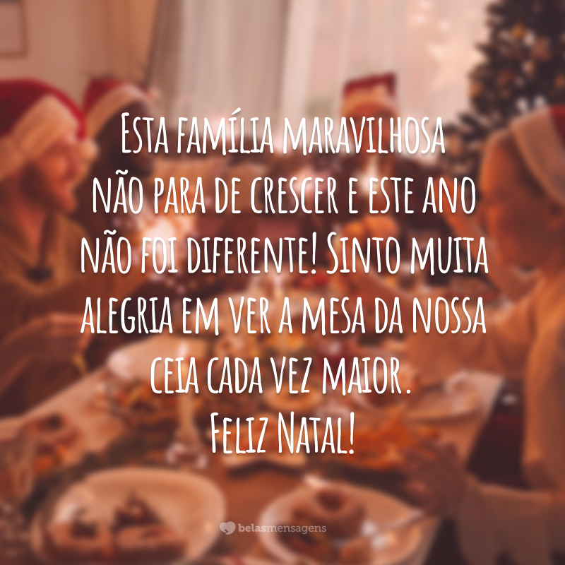 Esta família maravilhosa não para de crescer e este ano não foi diferente! Sinto muita alegria em ver a mesa da nossa ceia cada vez maior. Feliz Natal!