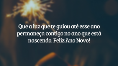 Que a luz que te guiou até esse ano permaneça contigo no ano que está nascendo. Feliz Ano Novo!