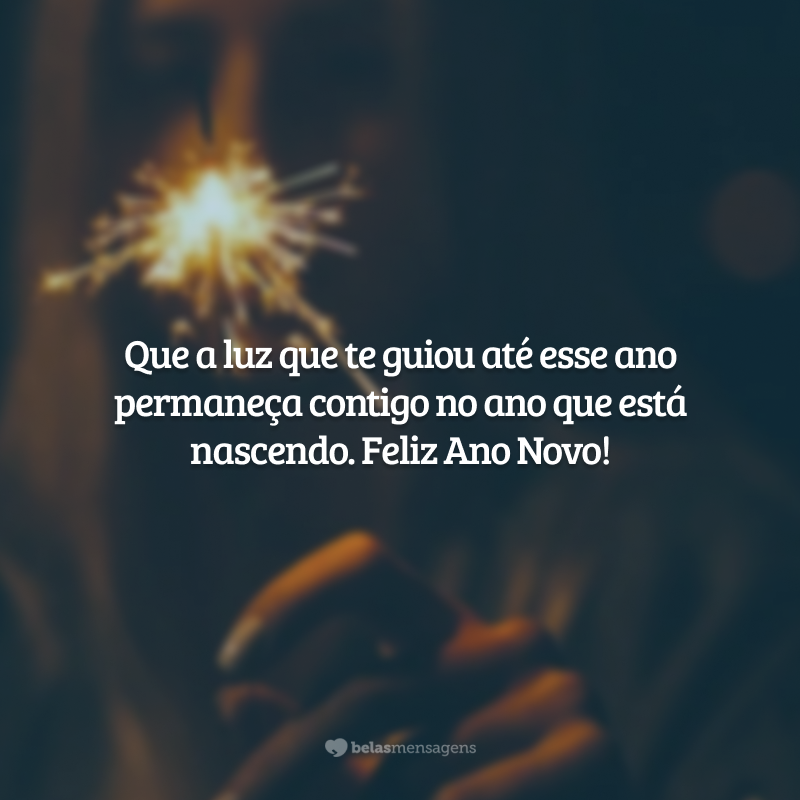 Que a luz que te guiou até esse ano permaneça contigo no ano que está nascendo. Feliz Ano Novo!