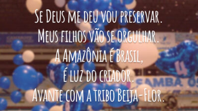 Se Deus me deu vou preservar. Meus filhos vão se orgulhar. A Amazônia é Brasil, é luz do criador. Avante com a tribo Beija-Flor.