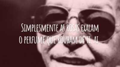 Simplesmente as rosas exalam o perfume que roubam de ti, ai.