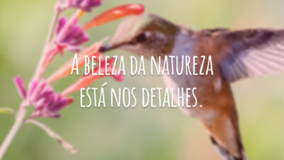 A beleza da natureza está nos detalhes.
