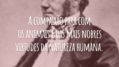 A compaixão para com os animais é das mais nobres virtudes da natureza humana.
