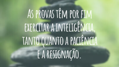 As provas têm por fim exercitar a inteligência, tanto quanto a paciência e a resignação.