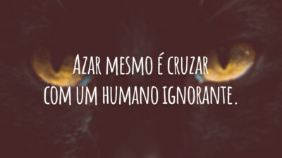 Azar mesmo é cruzar com um humano ignorante.