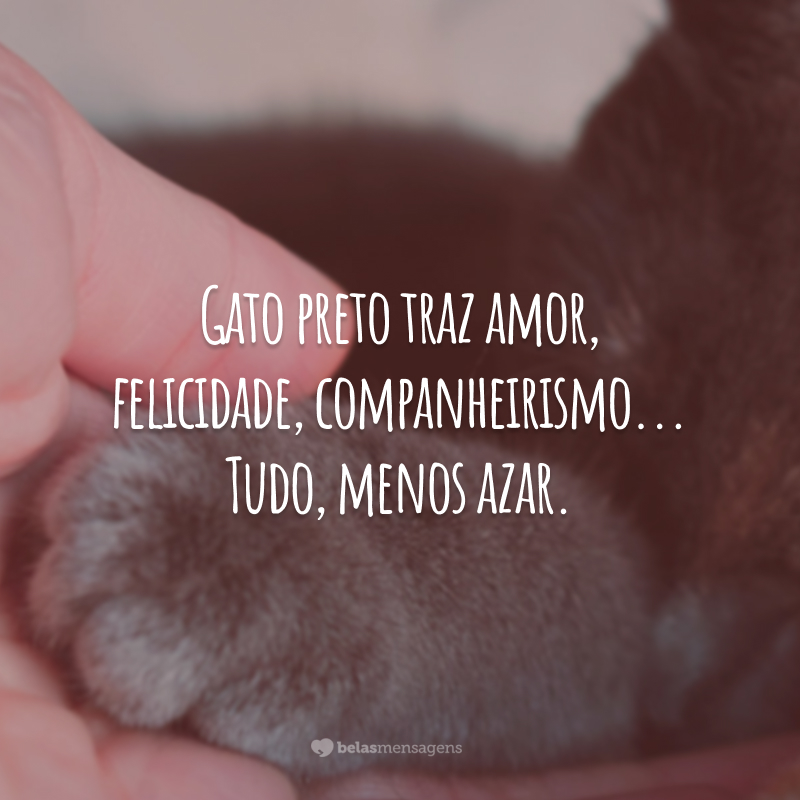 Gato preto traz amor, felicidade, companheirismo... Tudo, menos azar.