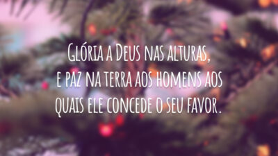 Glória a Deus nas alturas, e paz na terra aos homens aos quais ele concede o seu favor.