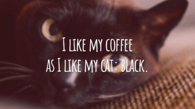 I like my coffee as I like my cat: black.
(Gosto do meu café como gosto do meu gato: preto.)