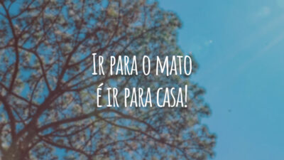 Ir para o mato é ir para casa!