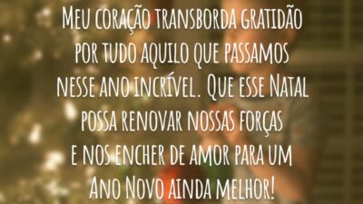 Meu coração transborda gratidão por tudo aquilo que passamos nesse ano incrível. Que esse Natal possa renovar nossas forças e nos encher de amor para um Ano Novo ainda melhor!