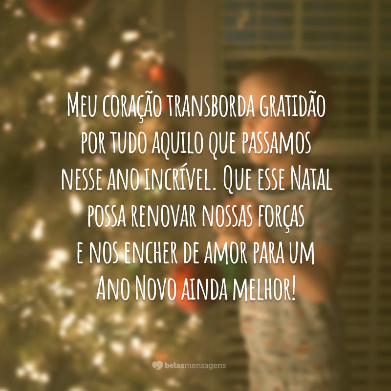 Meu coração transborda gratidão por tudo aquilo que passamos nesse ano incrível. Que esse Natal possa renovar nossas forças e nos encher de amor para um Ano Novo ainda melhor!