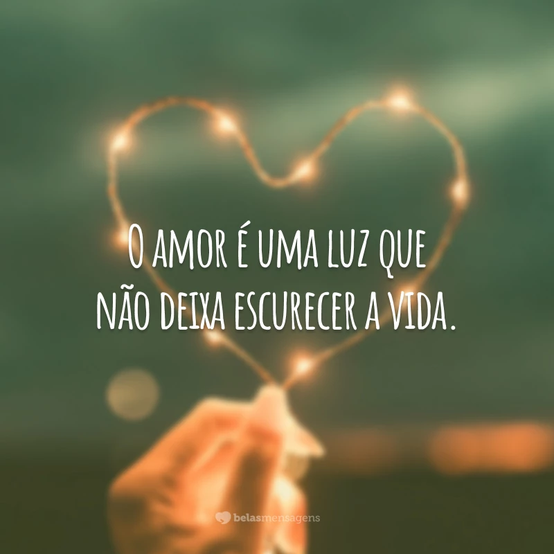 O amor é uma luz que não deixa escurecer a vida.