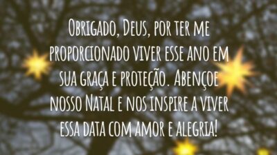 Obrigado, Deus, por ter me proporcionado viver esse ano em sua graça e proteção. Abençoe nosso Natal e nos inspire a viver essa data com amor e alegria!