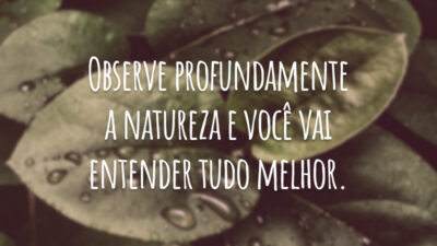 Observe profundamente a natureza e você vai entender tudo melhor.