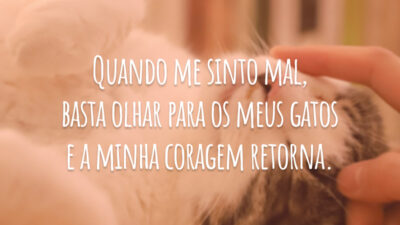 Quando me sinto mal, basta olhar para os meus gatos e a minha coragem retorna.