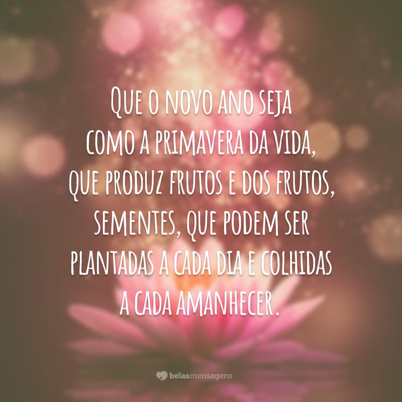 Que o novo ano seja como a primavera da vida, que produz frutos e dos frutos, sementes, que podem ser plantadas a cada dia e colhidas a cada amanhecer.