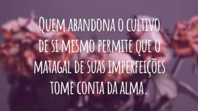 Quem abandona o cultivo de si mesmo permite que o matagal de suas imperfeições tome conta da alma.