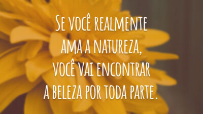 Se você realmente ama a natureza, você vai encontrar a beleza por toda parte.