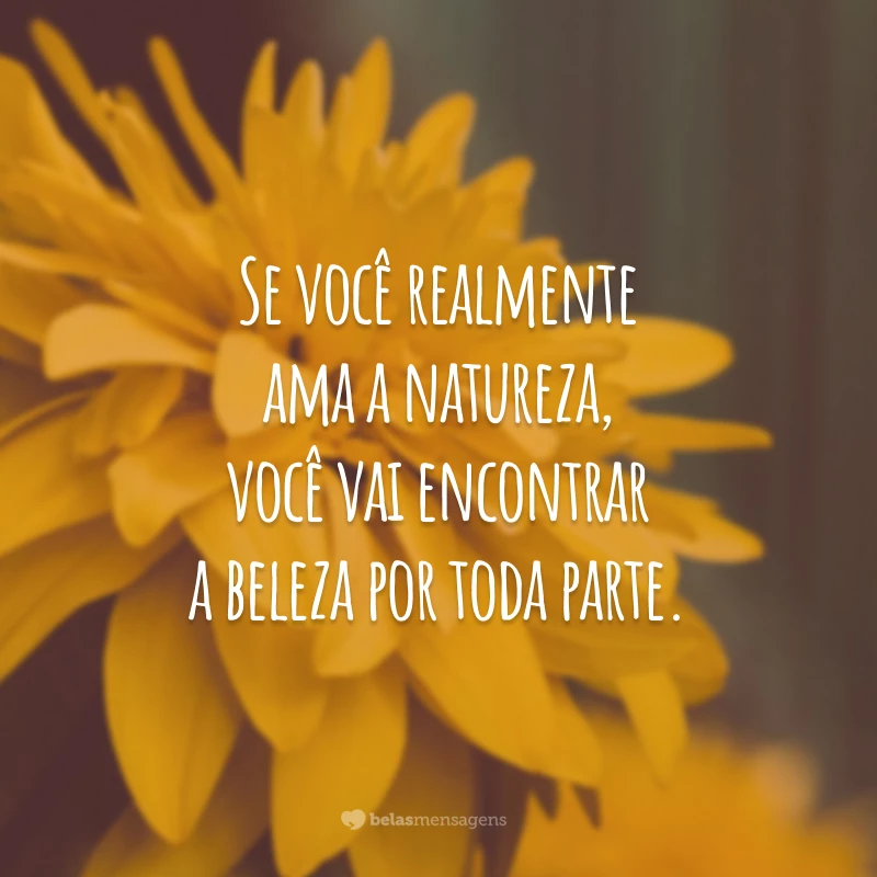 Se você realmente ama a natureza, você vai encontrar a beleza por toda parte.