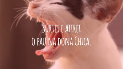 Surtei e atirei o pau na dona Chica.