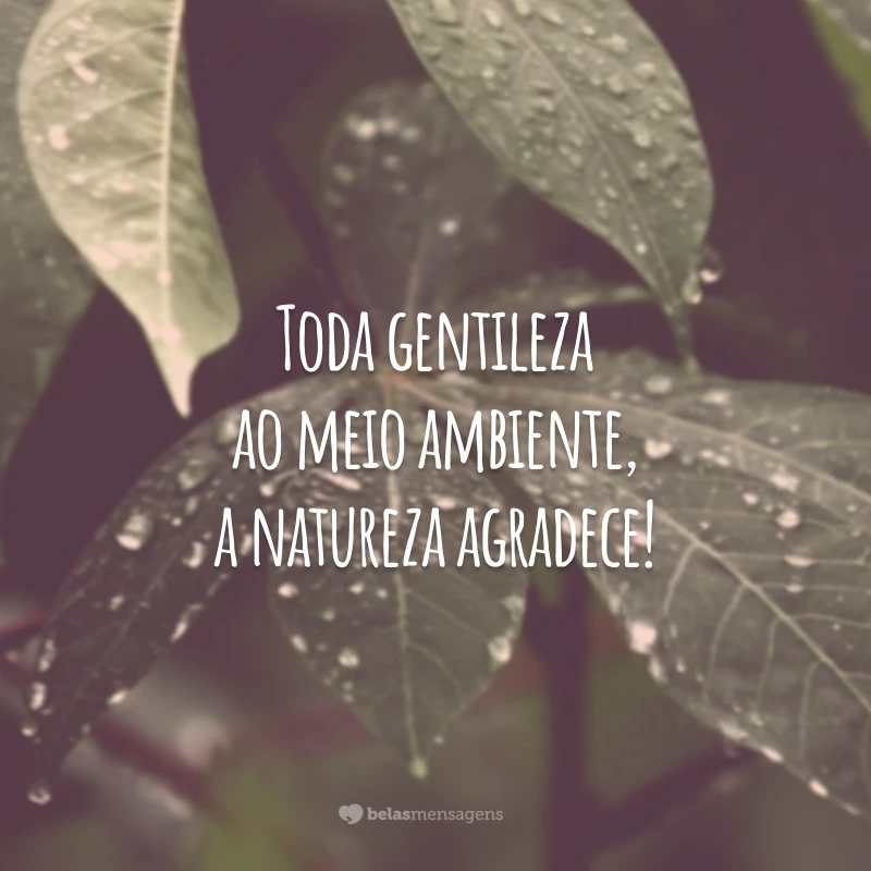 Toda gentileza ao meio ambiente, a natureza agradece!