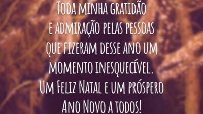 Toda minha gratidão e admiração pelas pessoas que fizeram desse ano um momento inesquecível. Um Feliz Natal e um próspero Ano Novo a todos!