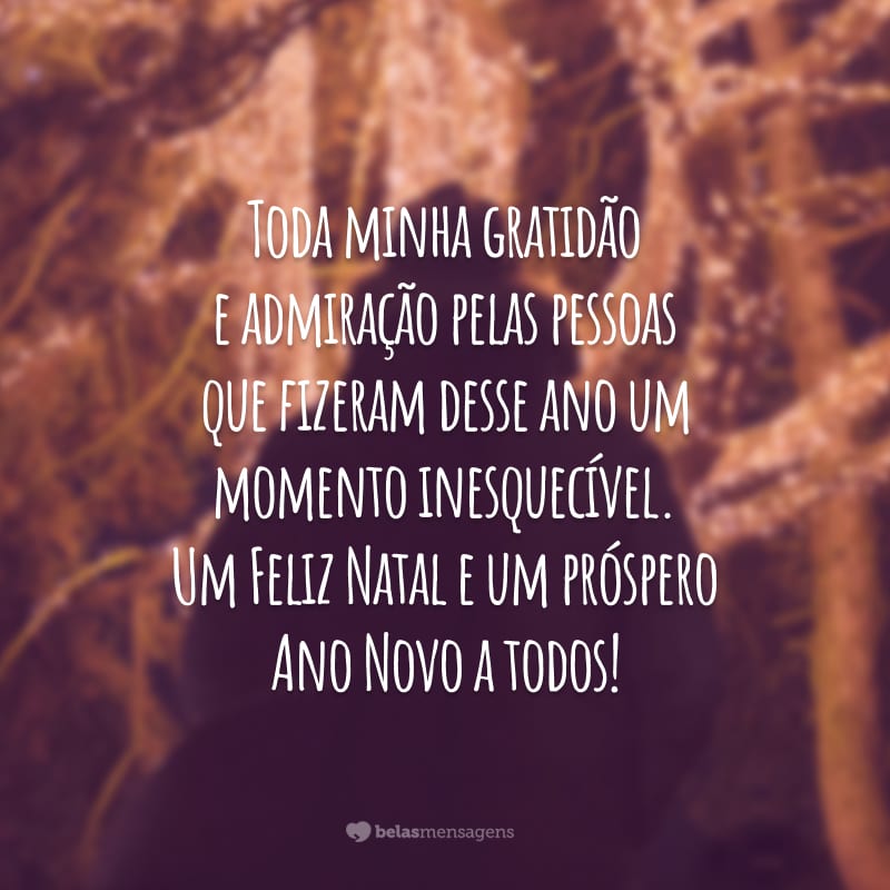 Toda minha gratidão e admiração pelas pessoas que fizeram desse ano um momento inesquecível. Um Feliz Natal e um próspero Ano Novo a todos!