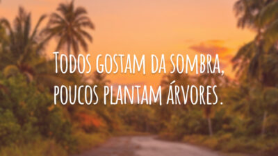 Todos gostam da sombra, poucos plantam árvores.