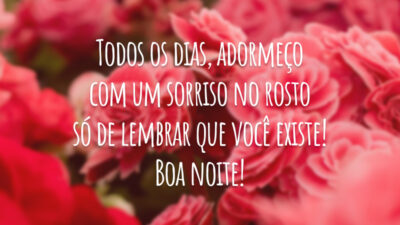 Todos os dias, adormeço com um sorriso no rosto só de lembrar que você existe! Boa noite!