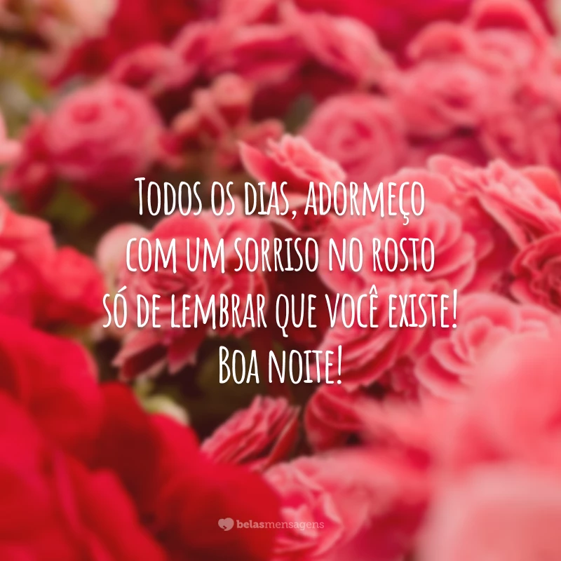 Todos os dias, adormeço com um sorriso no rosto só de lembrar que você existe! Boa noite!