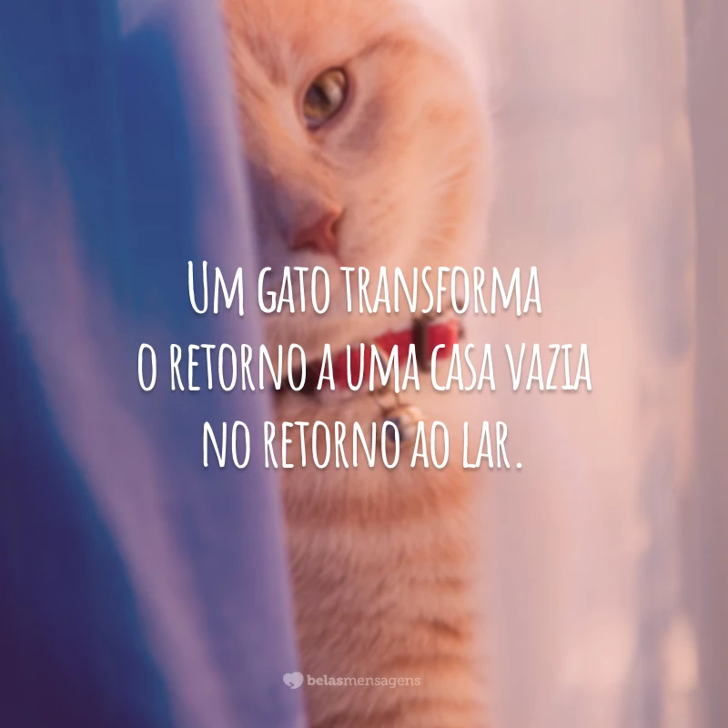 Um gato transforma o retorno a uma casa vazia no retorno ao lar.