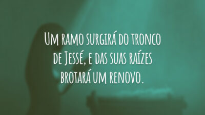 Um ramo surgirá do tronco de Jessé, e das suas raízes brotará um renovo.