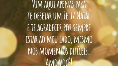 Vim aqui apenas para te desejar um Feliz Natal e te agradecer por sempre estar ao meu lado, mesmo nos momentos difíceis. Amo você!