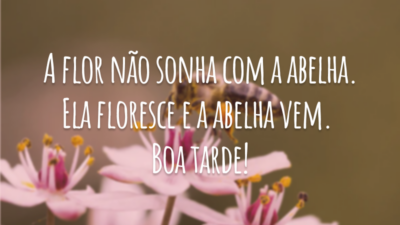 A flor não sonha com a abelha. Ela floresce e a abelha vem. Boa tarde!