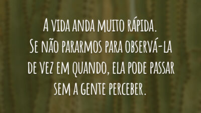 A vida anda muito rápida. Se não pararmos para observá-la de vez em quando, ela pode passar sem a gente perceber.