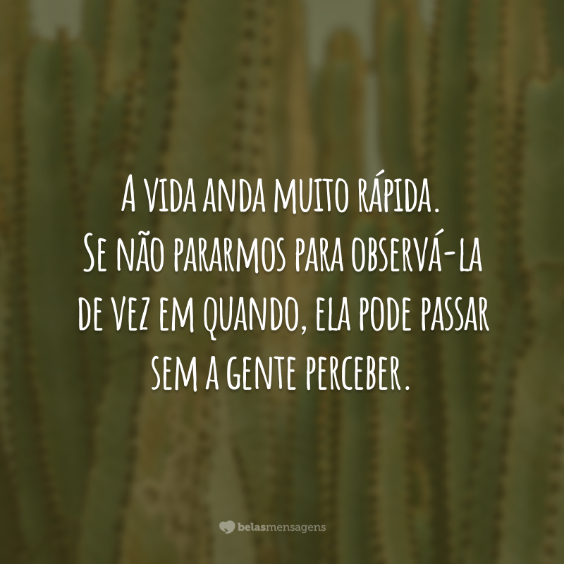 A vida anda muito rápida. Se não pararmos para observá-la de vez em quando, ela pode passar sem a gente perceber.