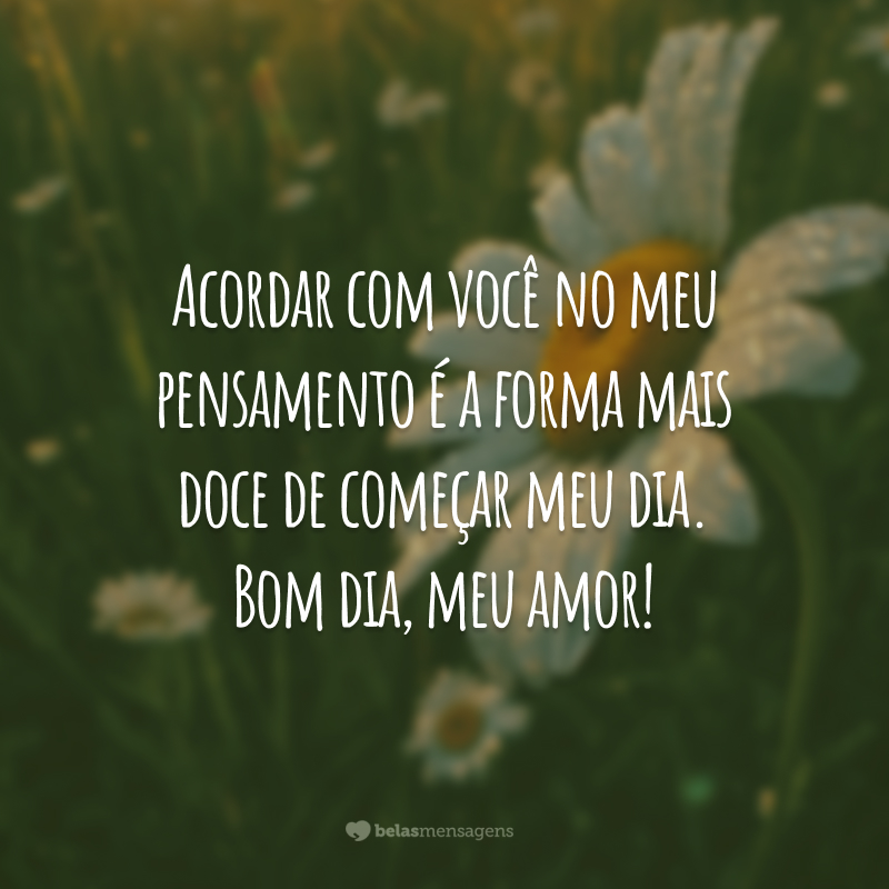 Acordar com você no meu pensamento é a forma mais doce de começar meu dia. Bom dia, meu amor!