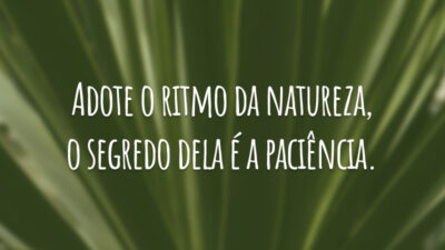 Adote o ritmo da natureza, o segredo dela é a paciência.