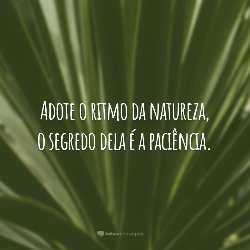 Adote o ritmo da natureza, o segredo dela é a paciência.