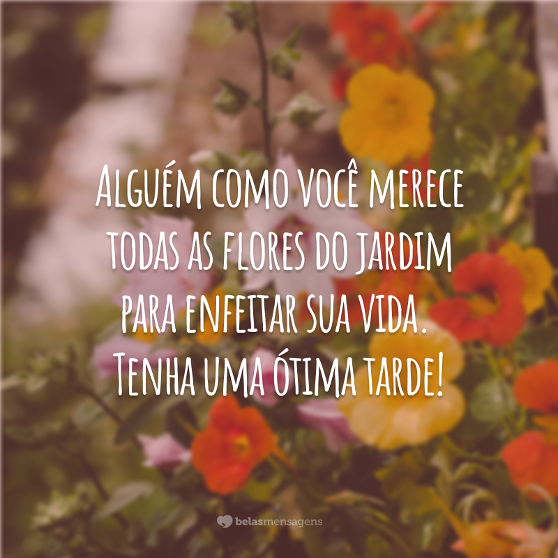 Alguém como você merece todas as flores do jardim para enfeitar sua vida. Tenha uma ótima tarde!