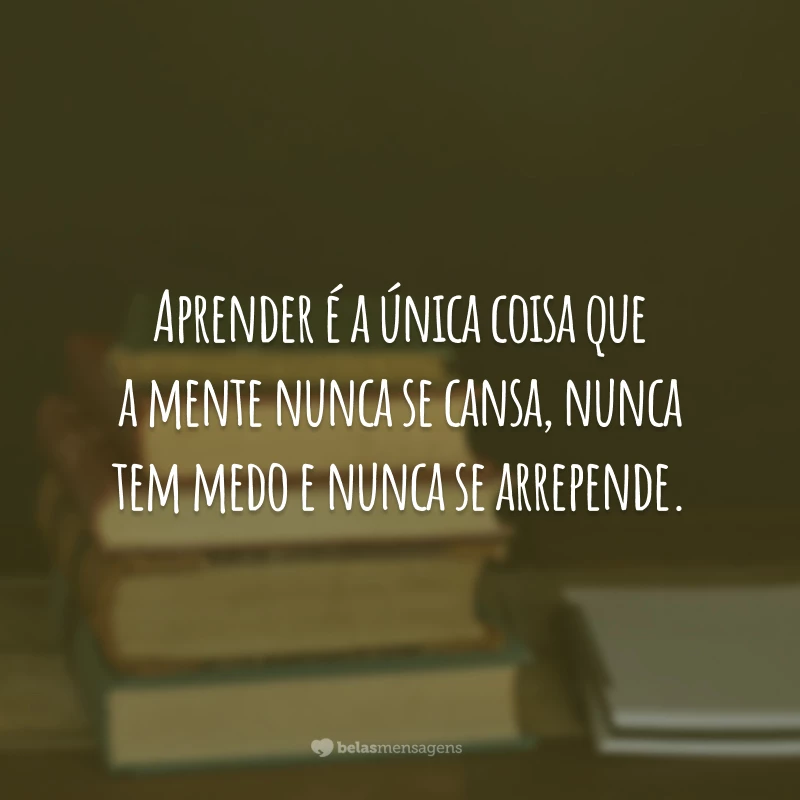 Aprender é a única coisa que a mente nunca se cansa, nunca tem medo e nunca se arrepende.