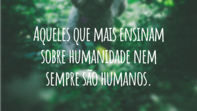 Aqueles que mais ensinam sobre humanidade nem sempre são humanos.