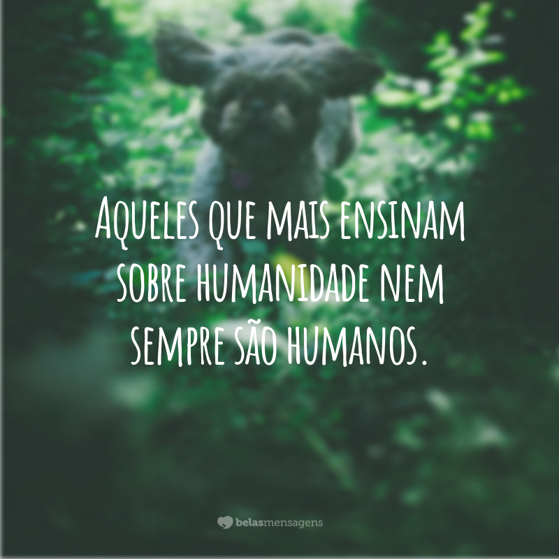 Aqueles que mais ensinam sobre humanidade nem sempre são humanos. 