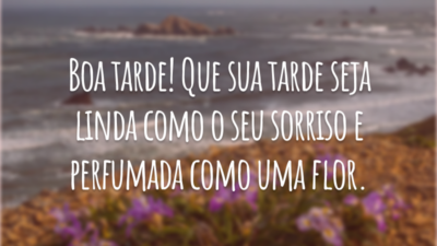 Boa tarde! Que sua tarde seja linda como o seu sorriso e perfumada como uma flor.