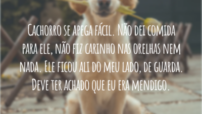 Cachorro se apega fácil. Não dei comida para ele, não fiz carinho nas orelhas nem nada. Ele ficou ali do meu lado, de guarda. Deve ter achado que eu era mendigo.