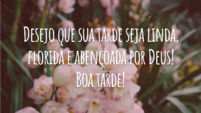 Desejo que sua tarde seja linda, florida e abençoada por Deus! Boa tarde!