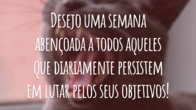 Desejo uma semana abençoada a todos aqueles que diariamente persistem em lutar pelos seus objetivos!