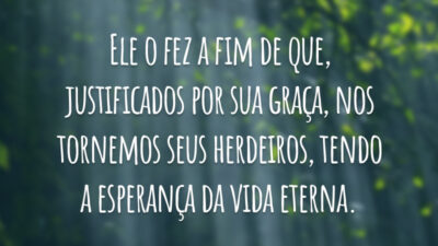 Ele o fez a fim de que, justificados por sua graça, nos tornemos seus herdeiros, tendo a esperança da vida eterna.