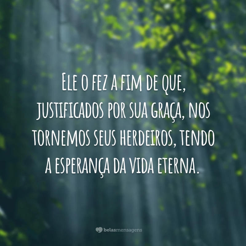 Ele o fez a fim de que, justificados por sua graça, nos tornemos seus herdeiros, tendo a esperança da vida eterna.